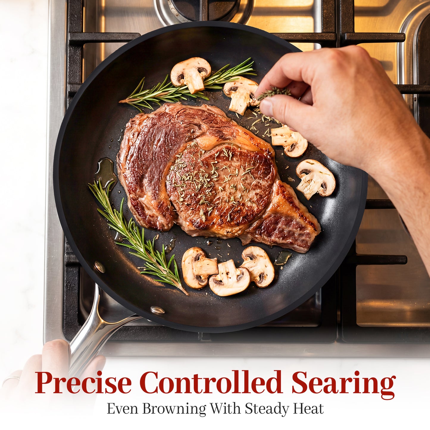 CASTIVO Tri-Ply Carbon Steel 12 Inch Pan - Pre-Seasoned Carbon Steel Skillet