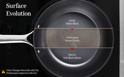 The CASTIVO 9.5 Inch Skillet Carbon Steel Pan - Pre-Seasoned