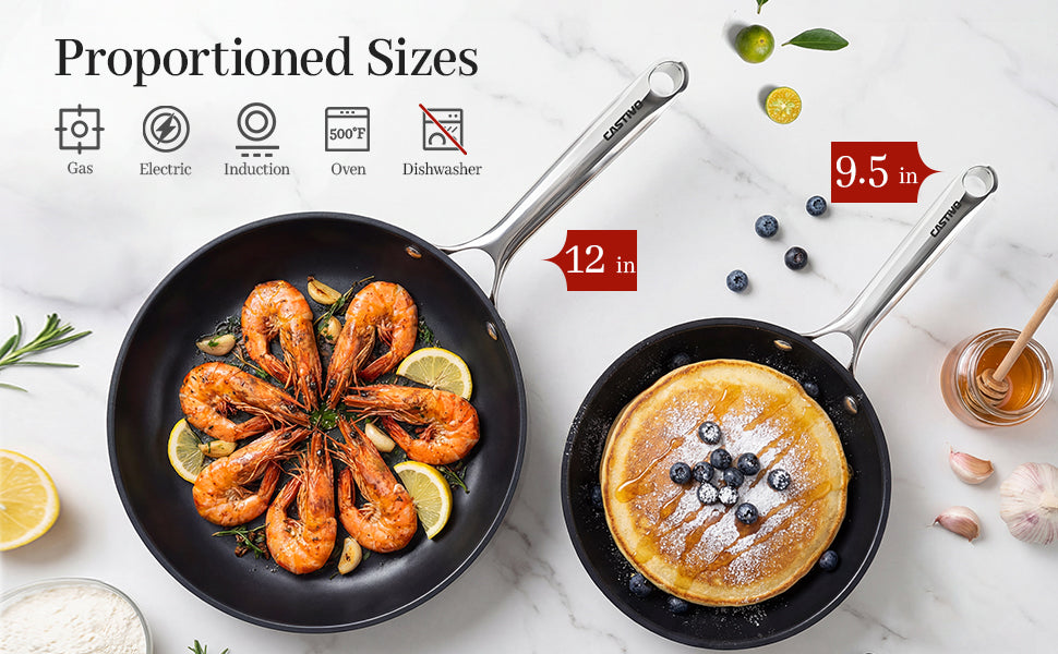 The CASTIVO 9.5 Inch Skillet Carbon Steel Pan - Pre-Seasoned