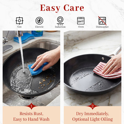 CASTIVO Tri-Ply Carbon Steel 12 Inch Pan - Pre-Seasoned Carbon Steel Skillet